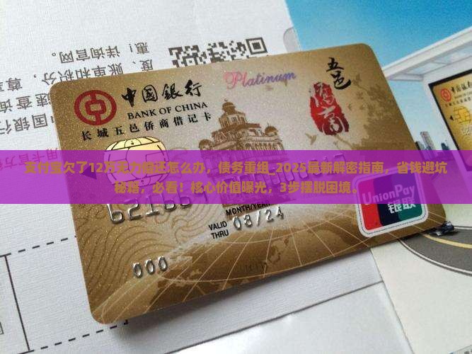 支付宝欠了12万无力偿还怎么办