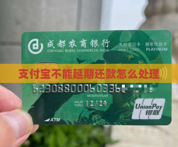 支付宝不能延期还款怎么处理