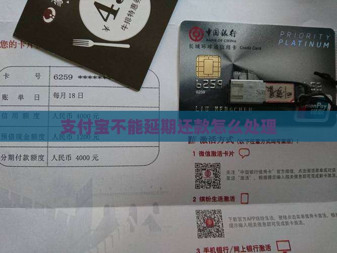 支付宝不能延期还款怎么处理