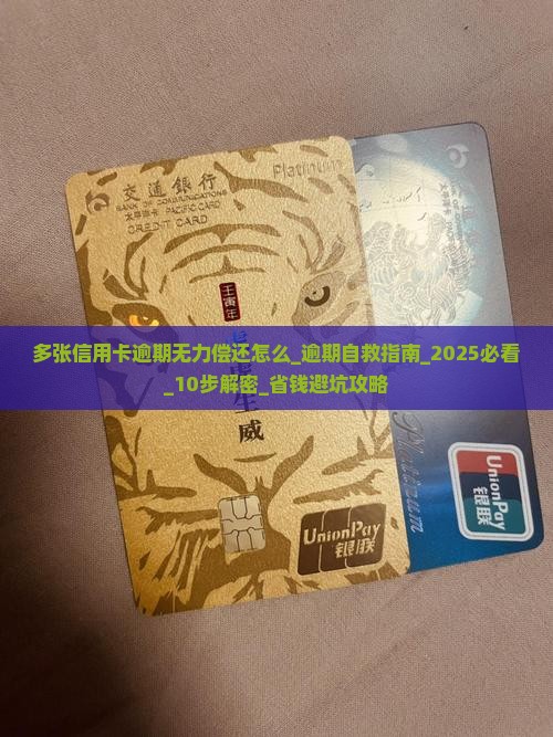 多张信用卡逾期无力偿还怎么办理