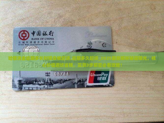 哈银消金逾期多长时间会被起诉