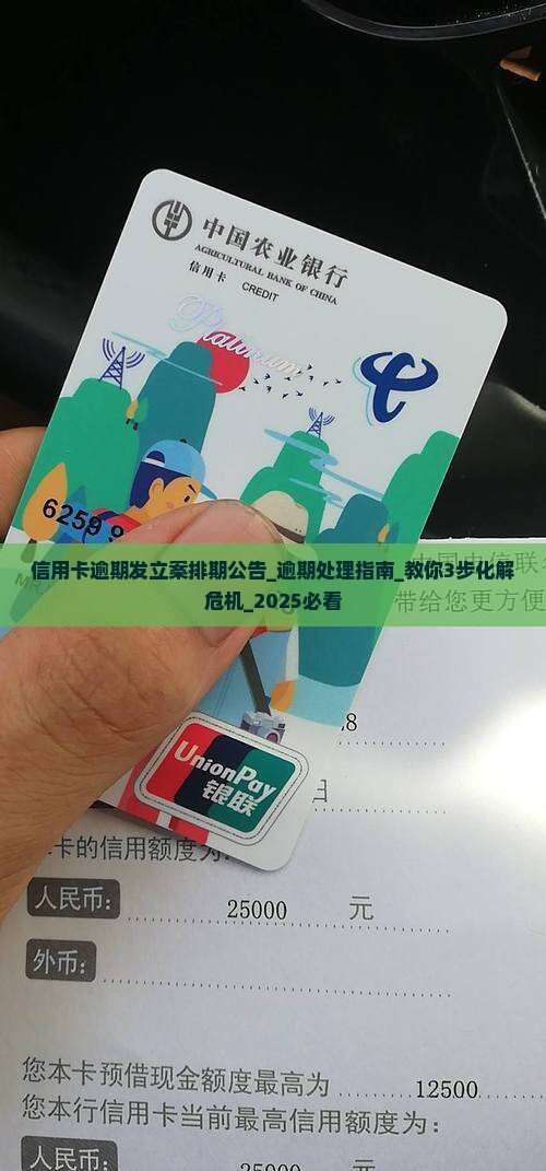 信用卡逾期发立案排期公告