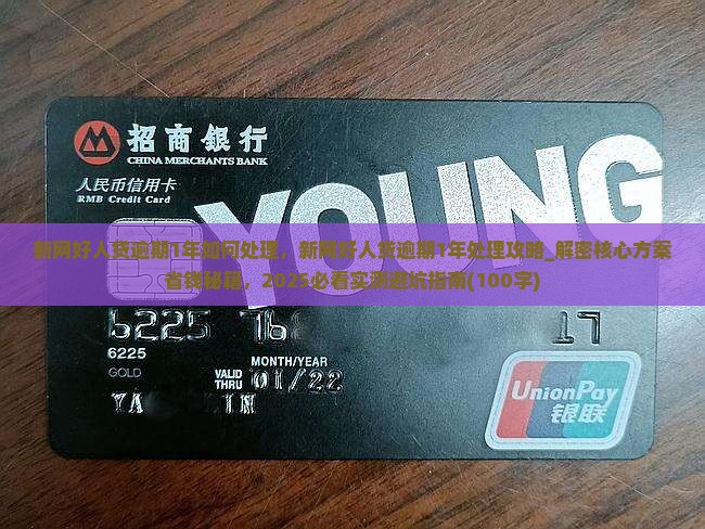 新网好人贷逾期1年如何处理