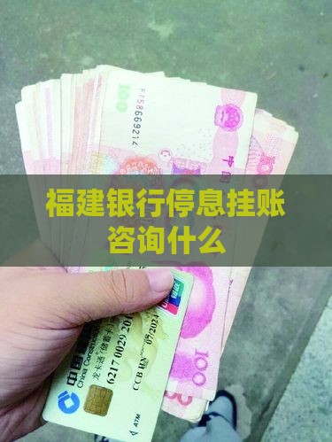 福建银行停息挂账咨询什么