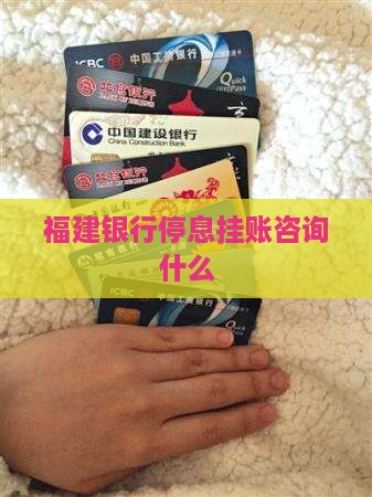 福建银行停息挂账咨询什么
