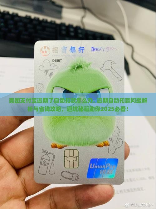 美团支付宝逾期了自动扣款怎么办