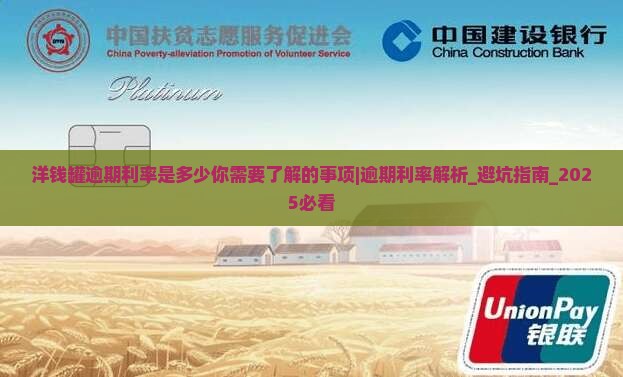 洋钱罐逾期利率是多少你需要了解的事项
