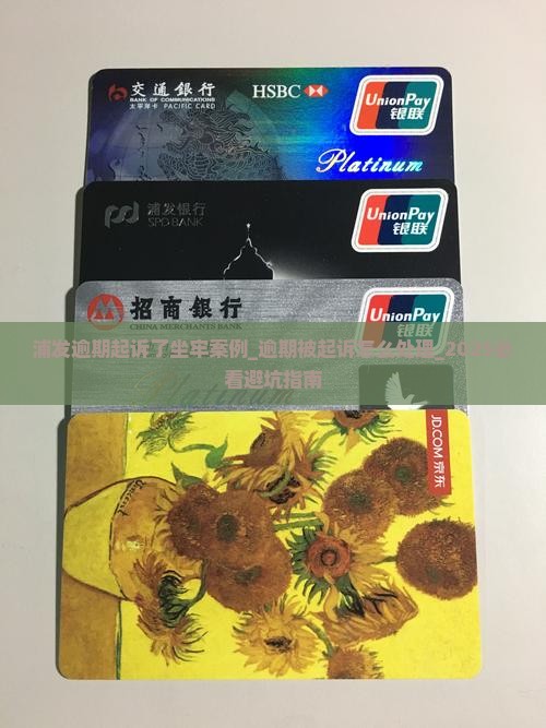 浦发逾期起诉了坐牢案例