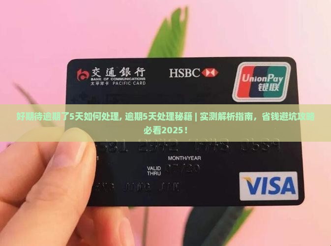招联好期待逾期了5天如何处理