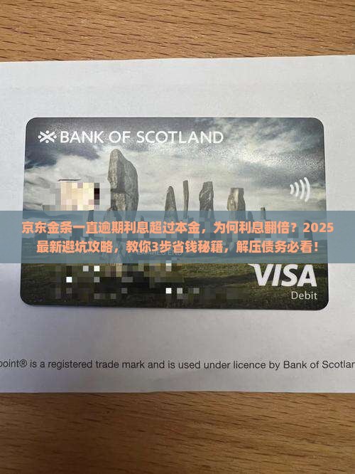 京东金条一直逾期利息超过本金