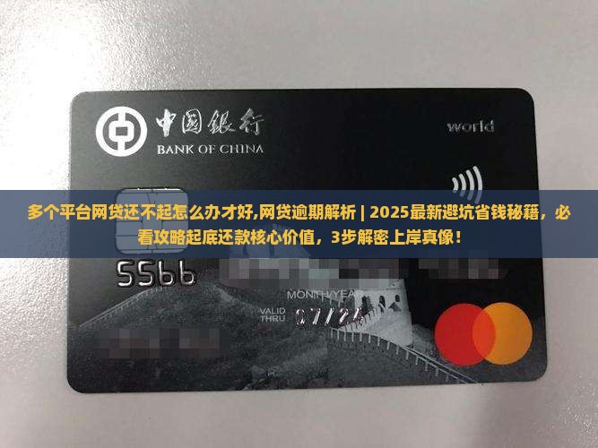 多个平台网贷还不起怎么办才好