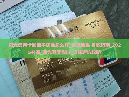 阳光信用卡逾期不还会怎么样