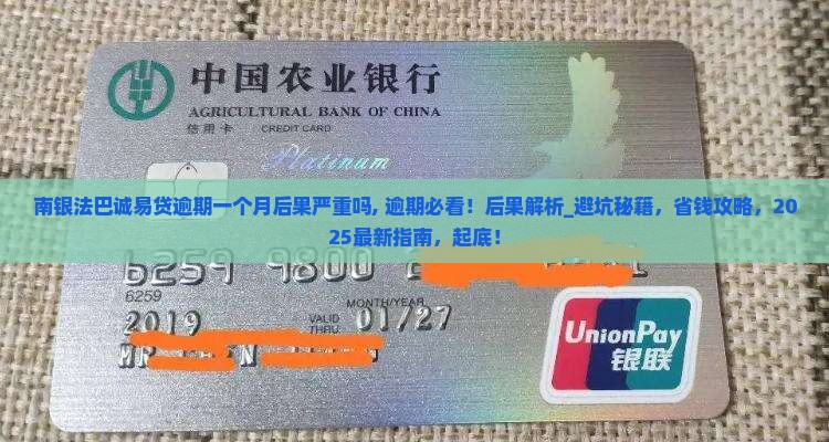 南银法巴诚易贷逾期一个月后果严重吗