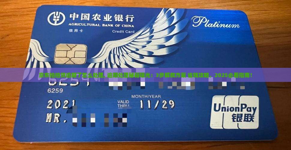 京东拍拍贷逾期了怎么处理 京东拍拍贷逾期了怎么处理