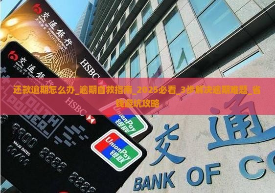 信用飞还款逾期怎么办 信用飞还款逾期怎么办