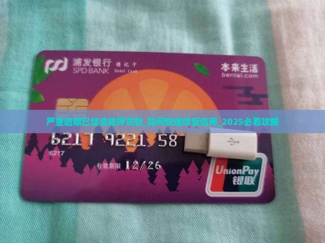严重逾期已结清抵押贷款