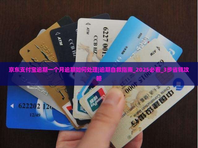 京东支付宝逾期一个月逾期如何处理