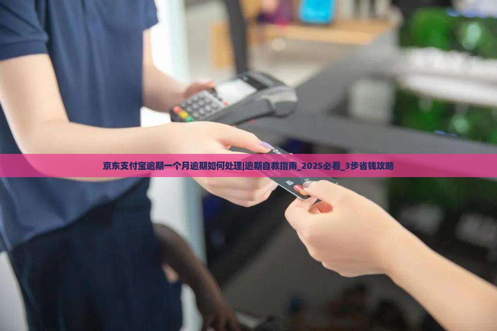 京东支付宝逾期一个月逾期如何处理