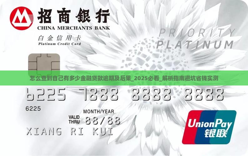 怎么查到自己有多少金融贷款逾期及后果
