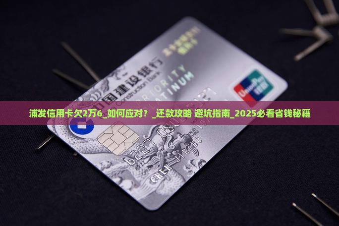 浦发信用卡欠2万6