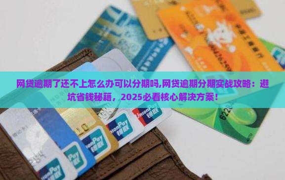 网贷逾期了还不上怎么办可以分期吗 网贷逾期了还不上怎么办可以分期吗
