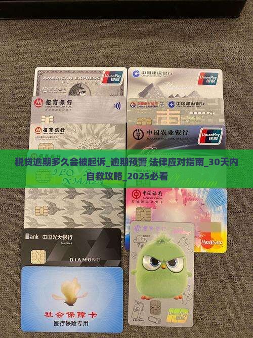 税贷逾期多久会被法院起诉