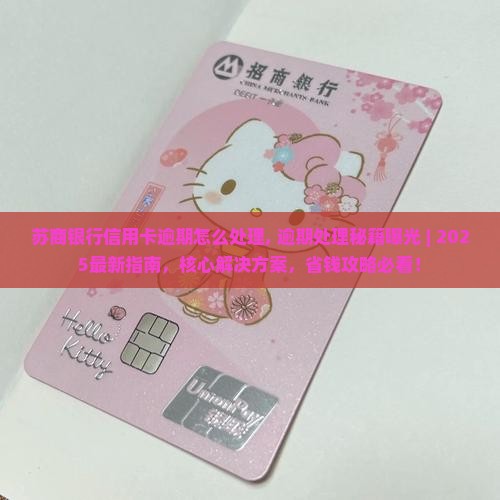 苏商银行信用卡逾期怎么处理