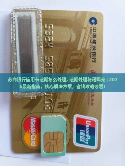 苏商银行信用卡逾期怎么处理