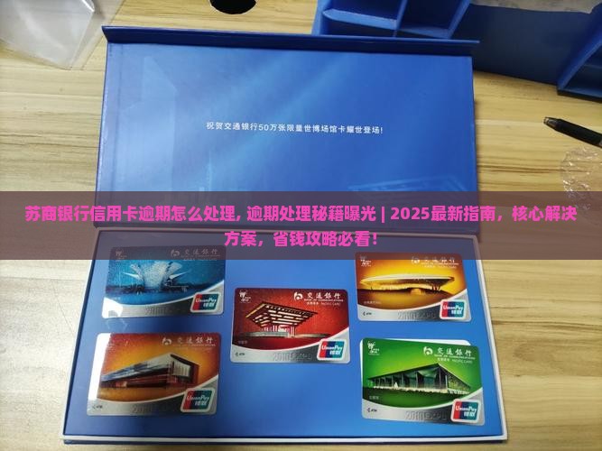苏商银行信用卡逾期怎么处理