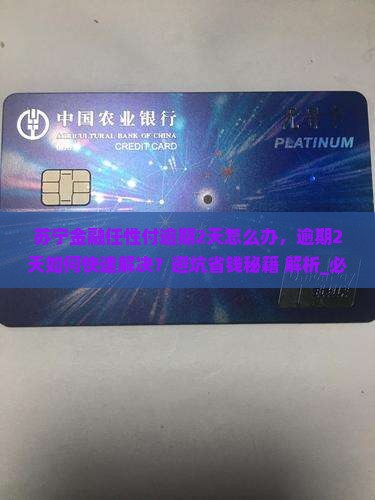 苏宁金融任性付逾期2天怎么办 苏宁金融任性付逾期2天怎么办