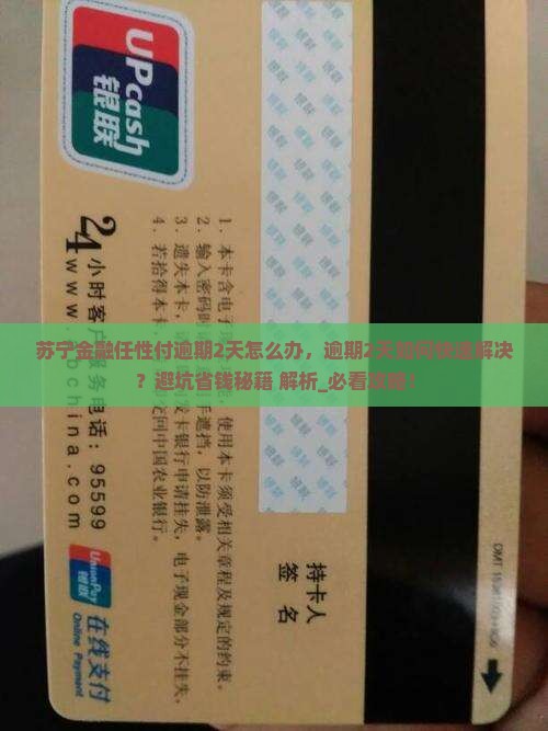 苏宁金融任性付逾期2天怎么办 苏宁金融任性付逾期2天怎么办