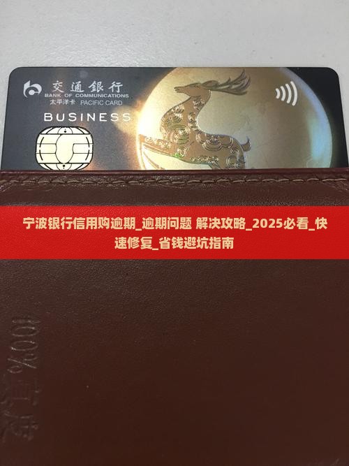 宁波银行信用购逾期