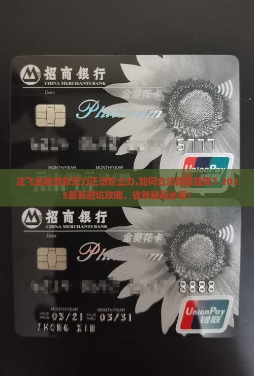 达飞金融借款无力还清怎么办