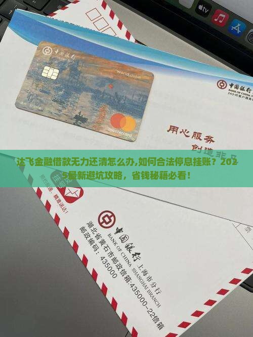 达飞金融借款无力还清怎么办