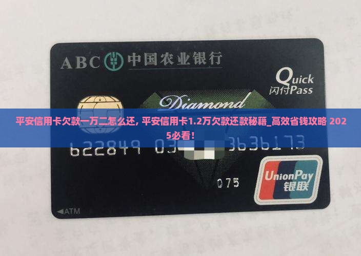 平安信用卡欠款一万二怎么还