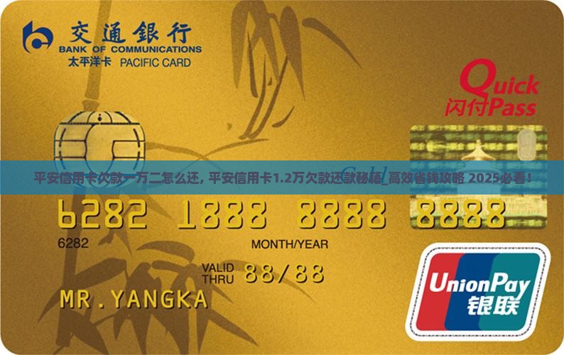 平安信用卡欠款一万二怎么还