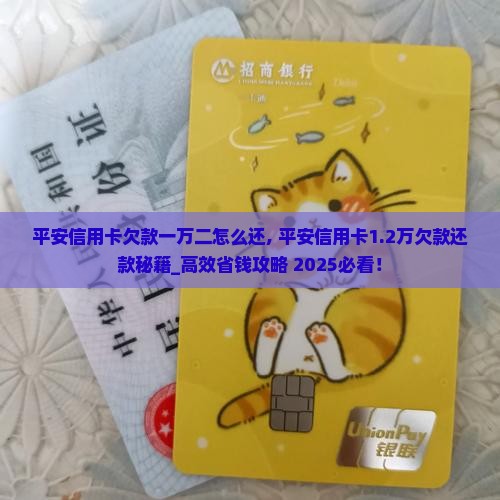 平安信用卡欠款一万二怎么还