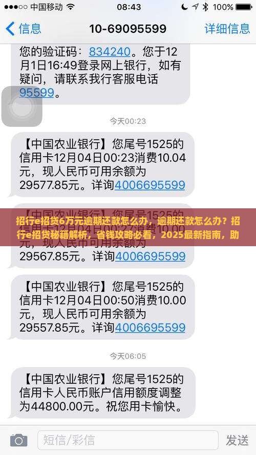 招行e招贷6万元逾期还款怎么办