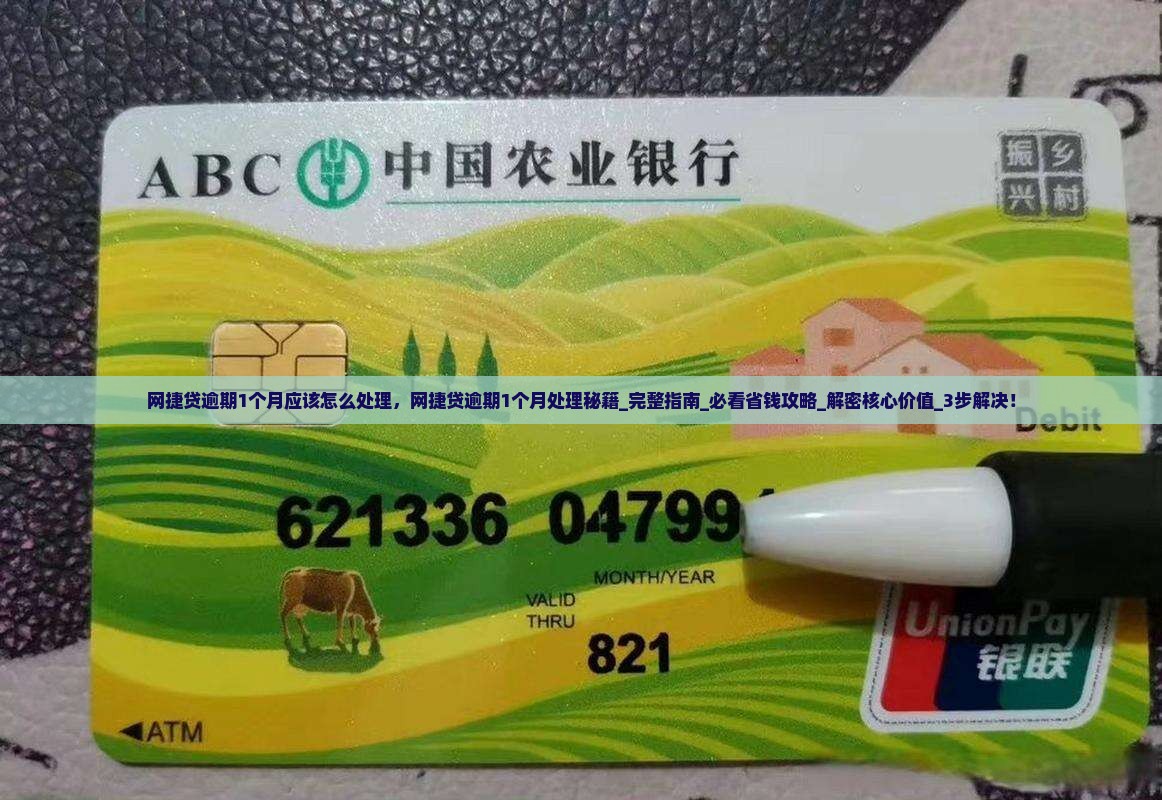 网捷贷逾期1个月应该怎么处理