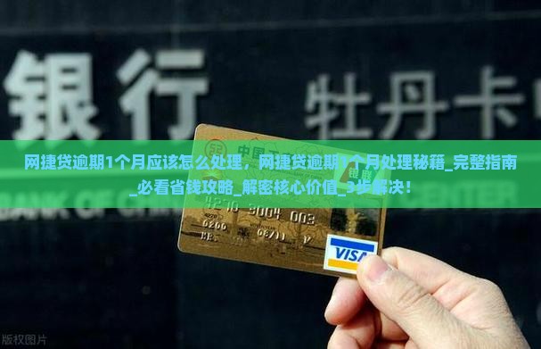 网捷贷逾期1个月应该怎么处理