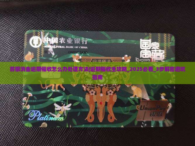 苏银消金逾期催收怎么办处理方法