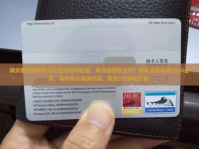 网贷要逾期啦怎么办应该如何处理