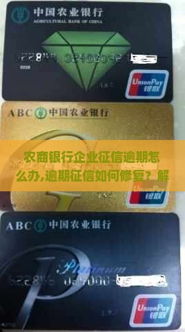 农商银行企业征信逾期怎么办