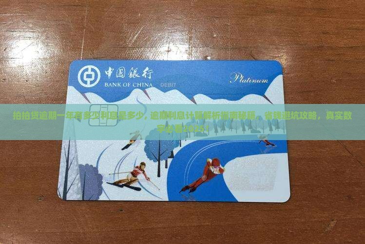 拍拍贷逾期一年有多少利息是多少