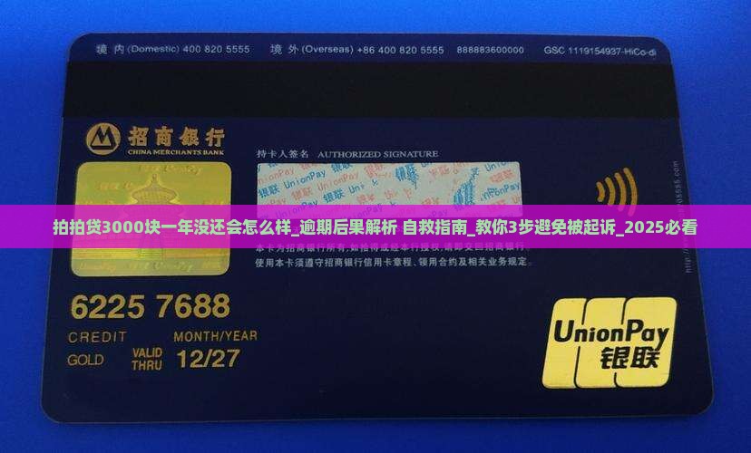 拍拍贷3000块一年没还会怎么样