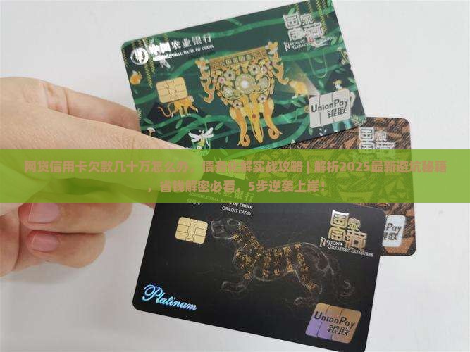 网贷信用卡欠款几十万怎么办