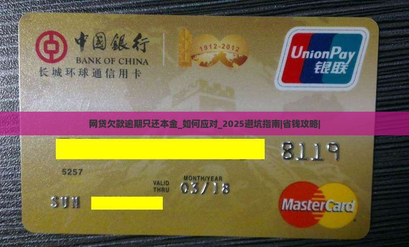 网贷欠款逾期只还本金 网贷欠款逾期只还本金