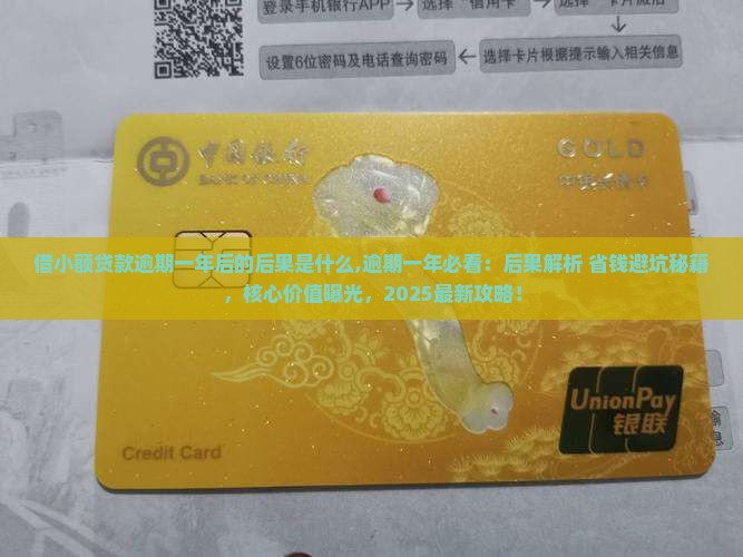 借小额贷款逾期一年后的后果是什么