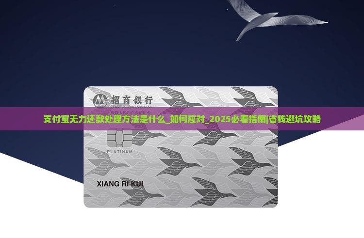支付宝无力还款最佳处理方法是什么
