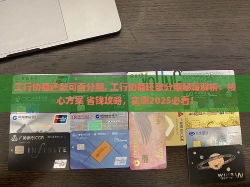 工行协商还款可否分期